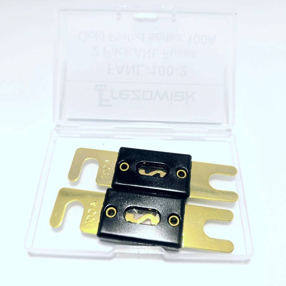 Zdjęcie przedstawiające 2 bezpieczniki ANL 100A